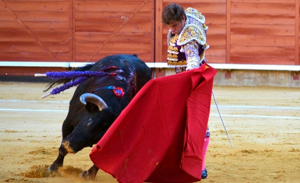 Corridas de toros, a consulta ciudadana: López Obrador