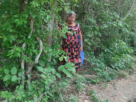 Con rituales, pueblos originarios de SLP invocan la lluvia ante la desesperación por falta de agua