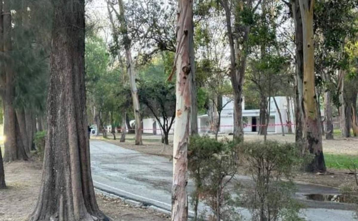 Hallan cuerpo en el parque Tangamanga; fiscalía de SLP investiga causas de la muerte
