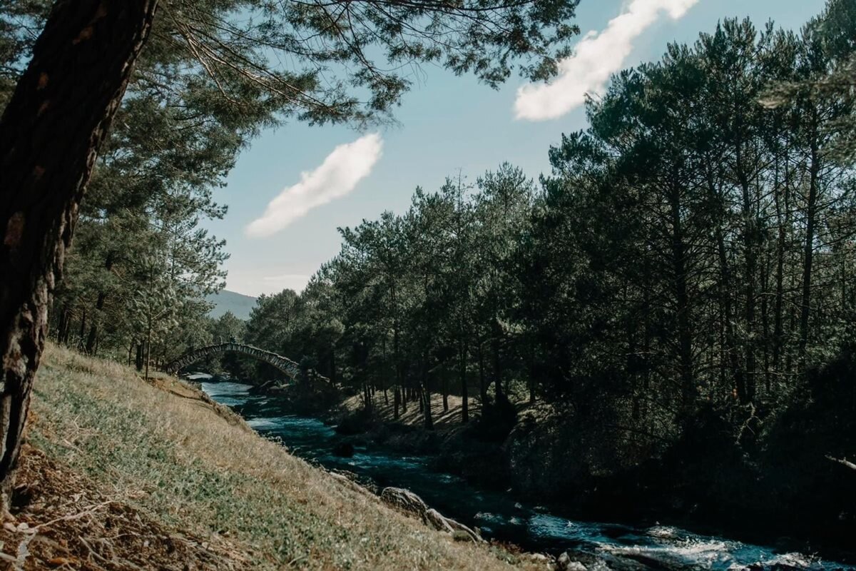 Cortesía: Arath Zumaya