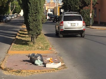 Muere perro y lo abandonan entre basura