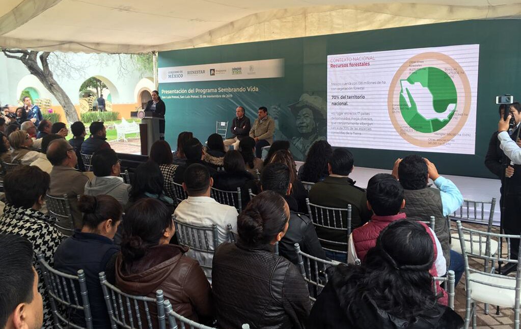 "Sembrando Vida" reforestará la Huasteca y Sierra de San Miguelito