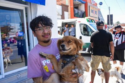 Ambudog brinda más de mil atenciones veterinarias en un mes en Soledad