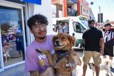 Ambudog brinda más de mil atenciones veterinarias en un mes en Soledad