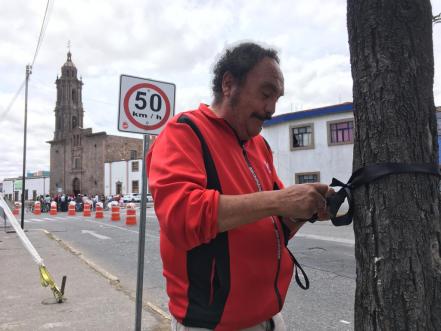 Interponen amparo para la protección del arbolado de la avenida Himno Nacional en SLP