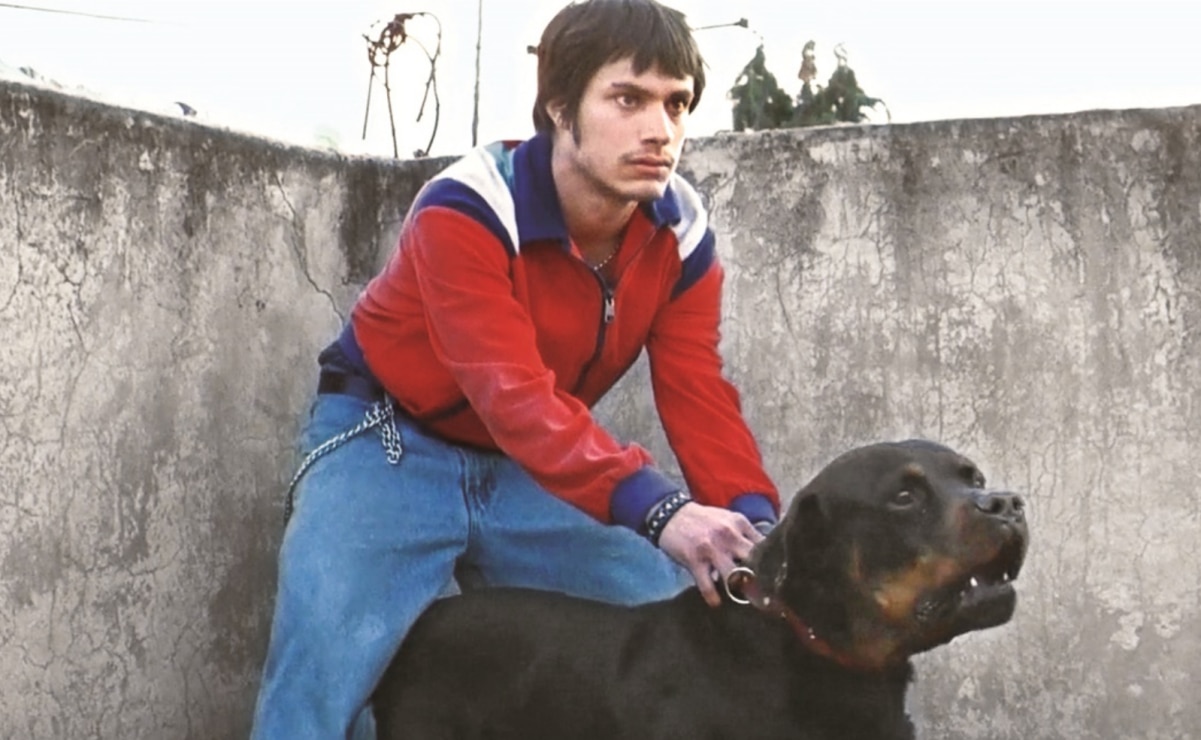 "Amores Perros" vuelve a "ladrar" y ahora para el Día Nacional del Cine Mexicano