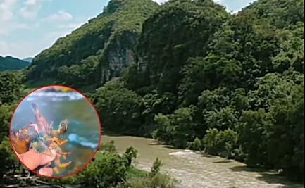 Qué son los techiches, el manjar ancestral que guardan las comunidades huastecas de SLP