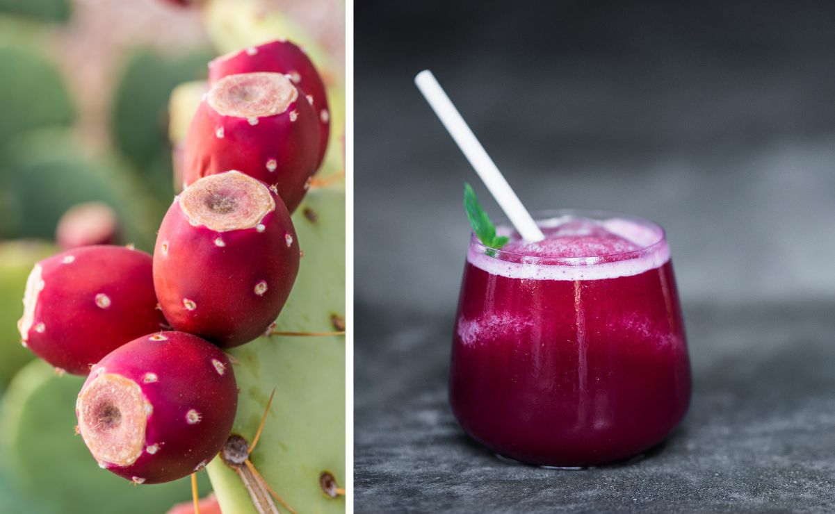 Así es el multiverso de la tuna cardona. La fruta que da identidad a los potosinos