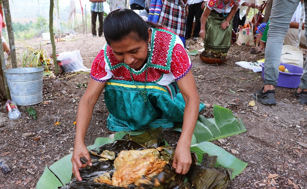 Conoce el zacahuil, un platillo típico de la Huasteca que refleja justicia, comunidad y resistencia cultural en la cocina mexicana. Foto: Fundación Tortilla.
