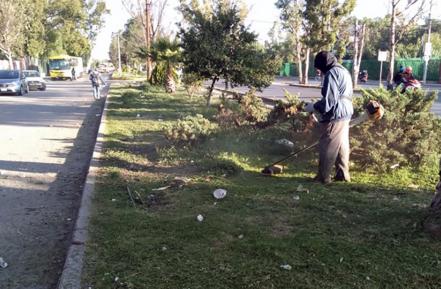 Servicios Municipales atiende 24 colonias de SLP