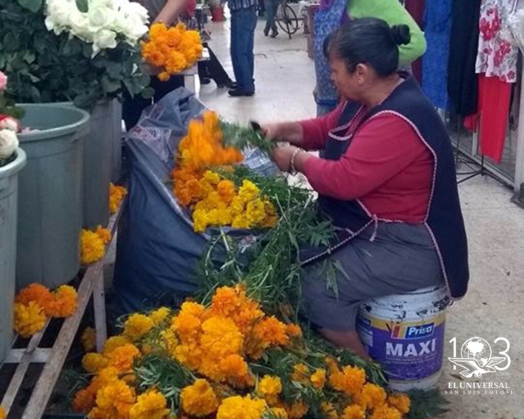 Vigila Profeco panteones y comercios este Día de Muertos 