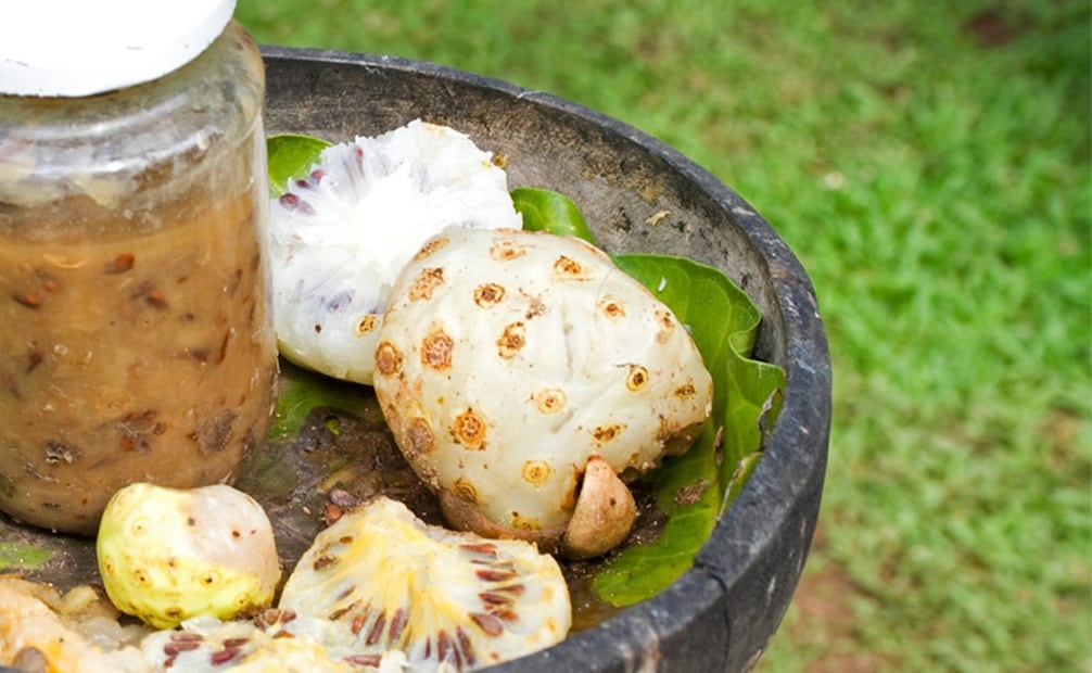 Las propiedades curativas de noni son múltiples, aunque es especialmente reconocido por sus propiedades regenerativas. Foto: castroygonzalez.es