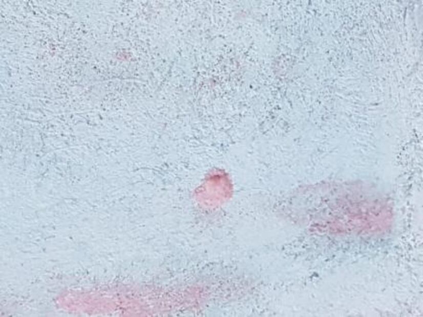 “El Mijis” denuncia atentado contra su familia