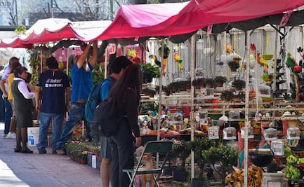 ¡Atención! Extienden fechas de la Feria de las Flores 2024