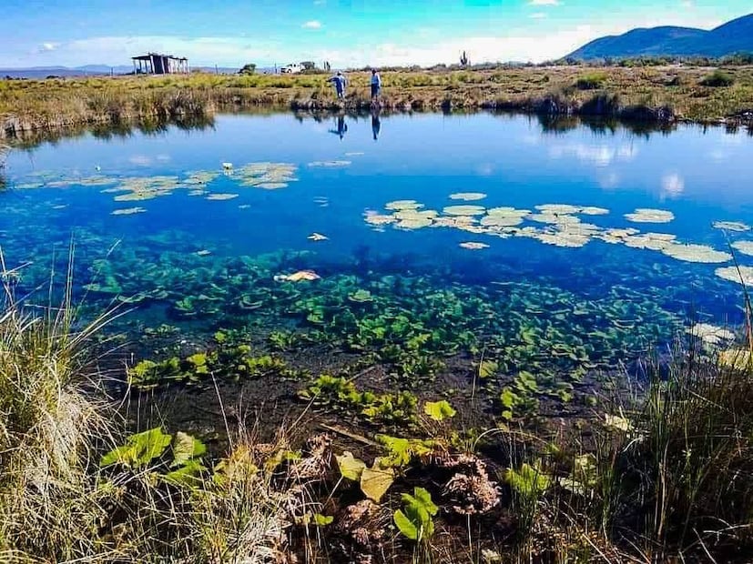 Estación Tablas, manantial con aguas cristalinas en Ciudad del Maíz. Foto: Especial