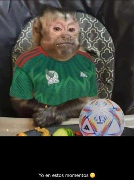 Qatar 2022. México pierde contra Argentina y los memes no se hicieron esperar