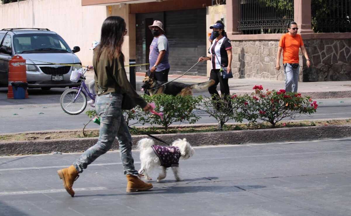 ¡Inscribe a tu lomito! Se acerca la Carrera Perrona en la capital de SLP 