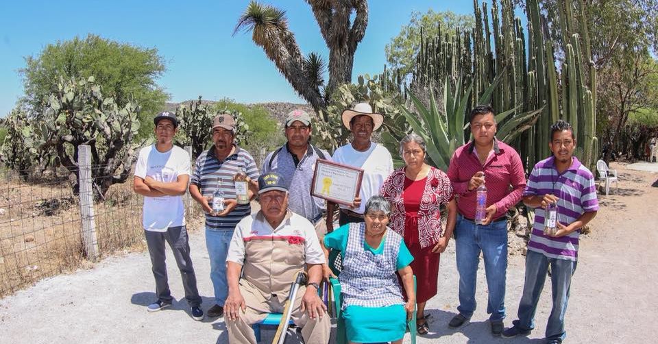 La familia Navarro elabora mezcal de forma artesanal en SLP