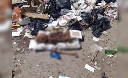 Encuentran presuntos restos humanos en Peñasco