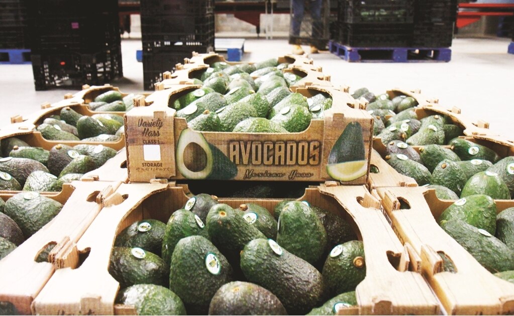 Imposición de aranceles alimenta guerra comercial: IP 