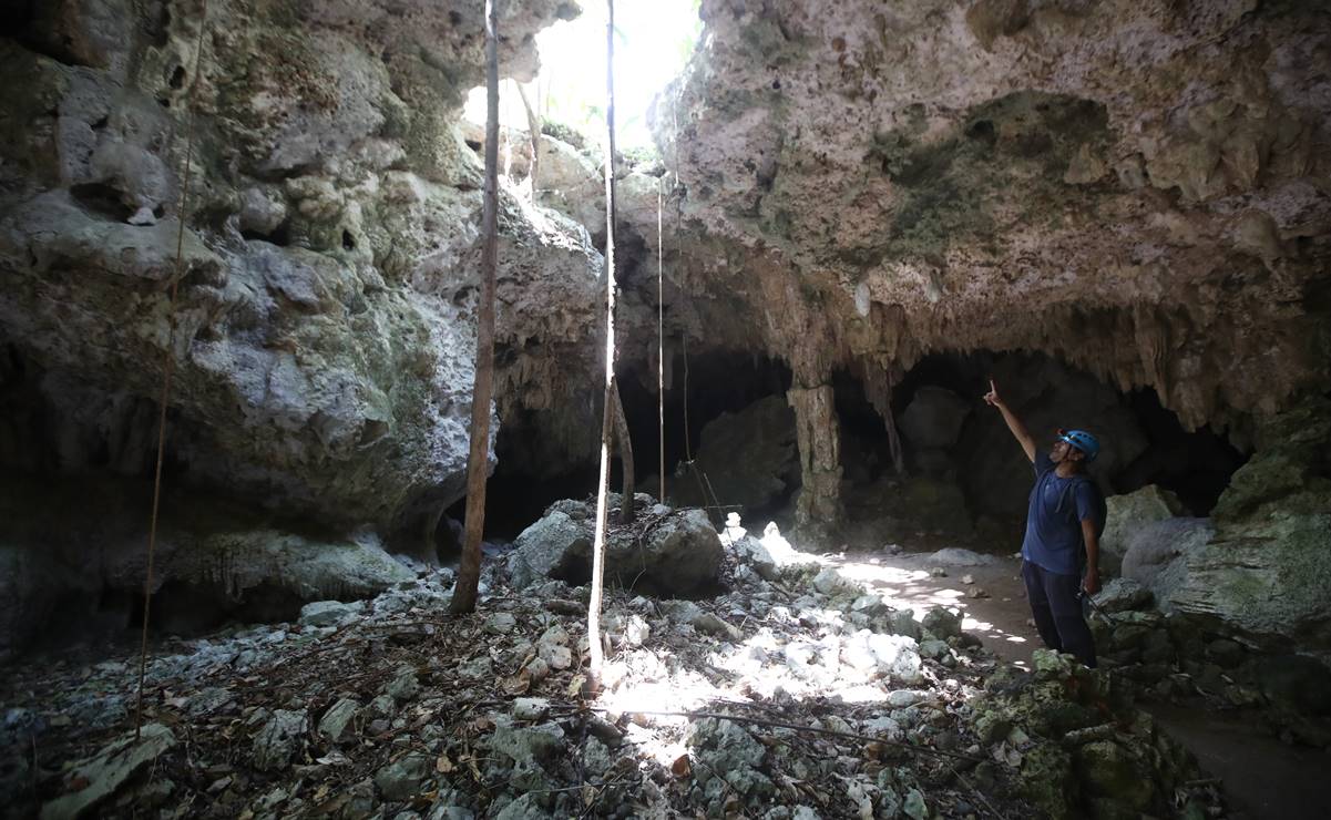 Tren Maya, “trampa mortal” para fauna y cavernas, alertan
