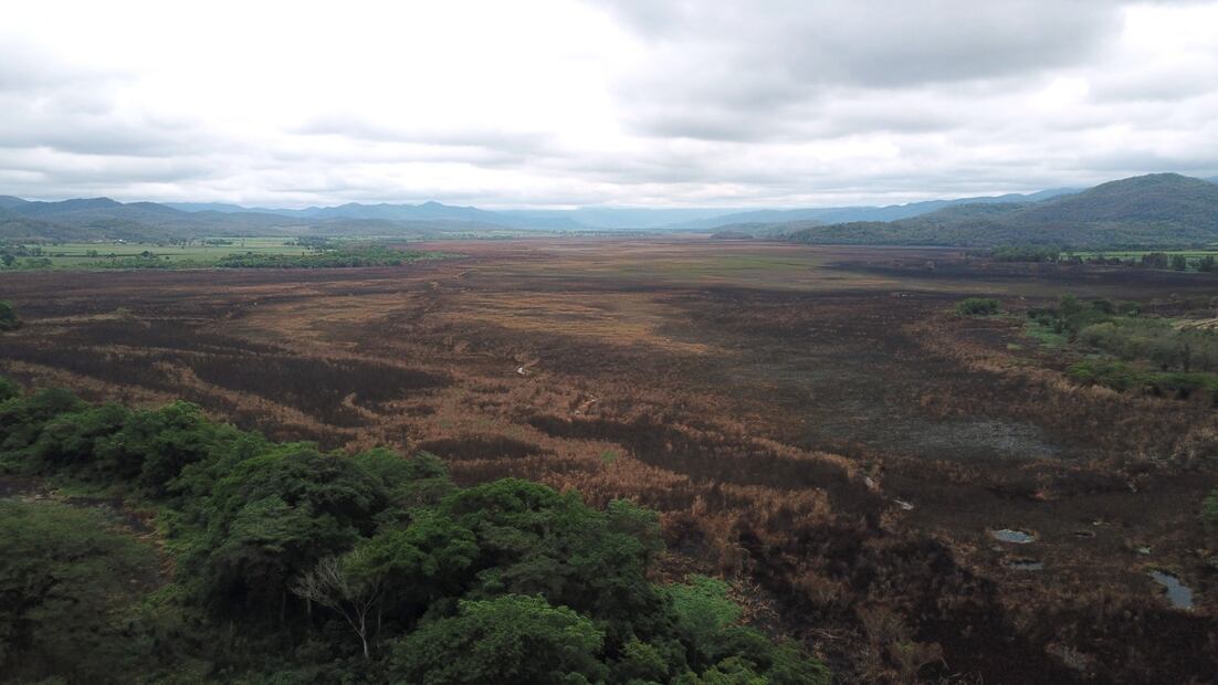Así se ve la pérdida de hectáreas de vegetación en Tamasopo por los incendios forestales. Fotos: Especiales