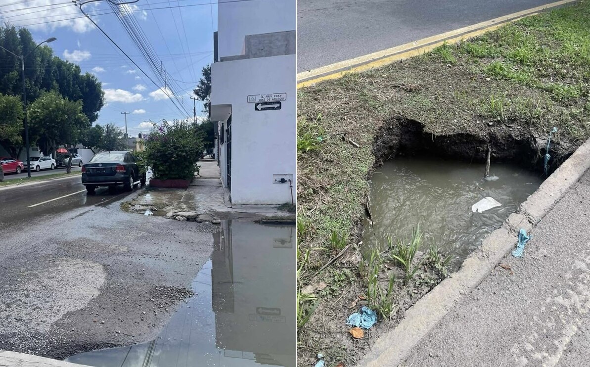 Denuncian brotes de aguas negras en la calle fray José de Arlegui en la capital potosina  