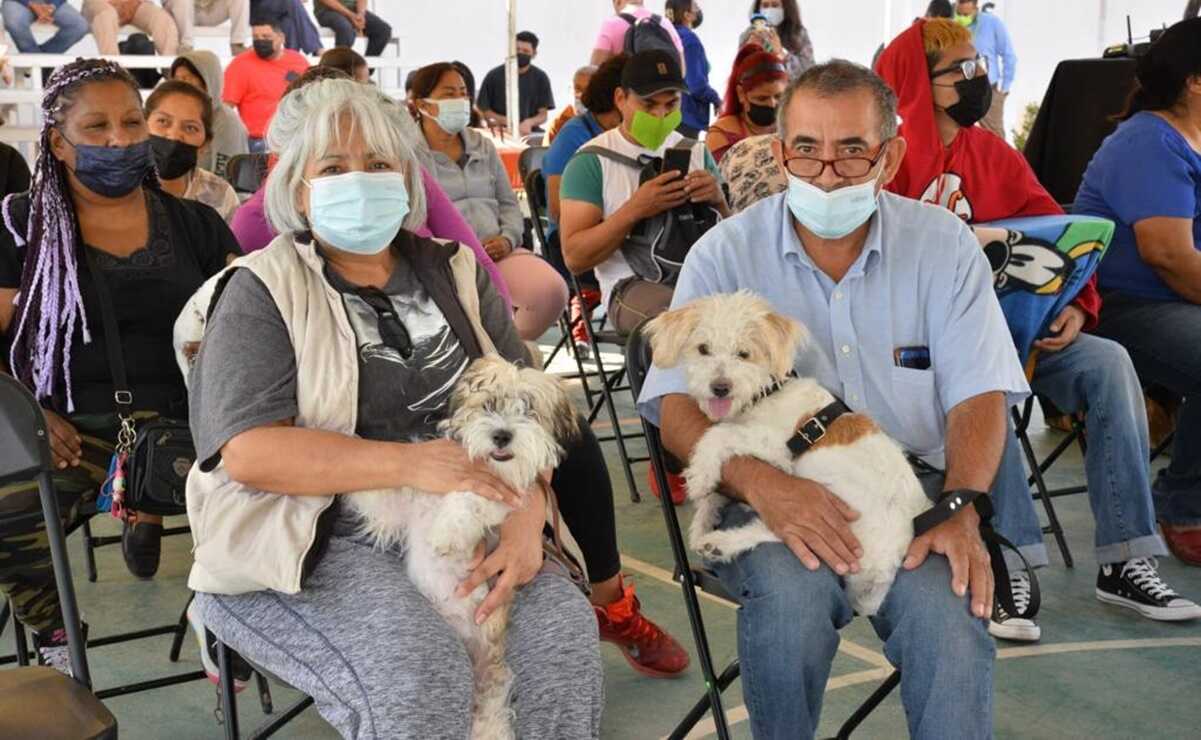 ¡Lleva a tu perro o gato! Anuncian jornada de vacunación contra la rabia en SLP y Soledad. Foto: Especial