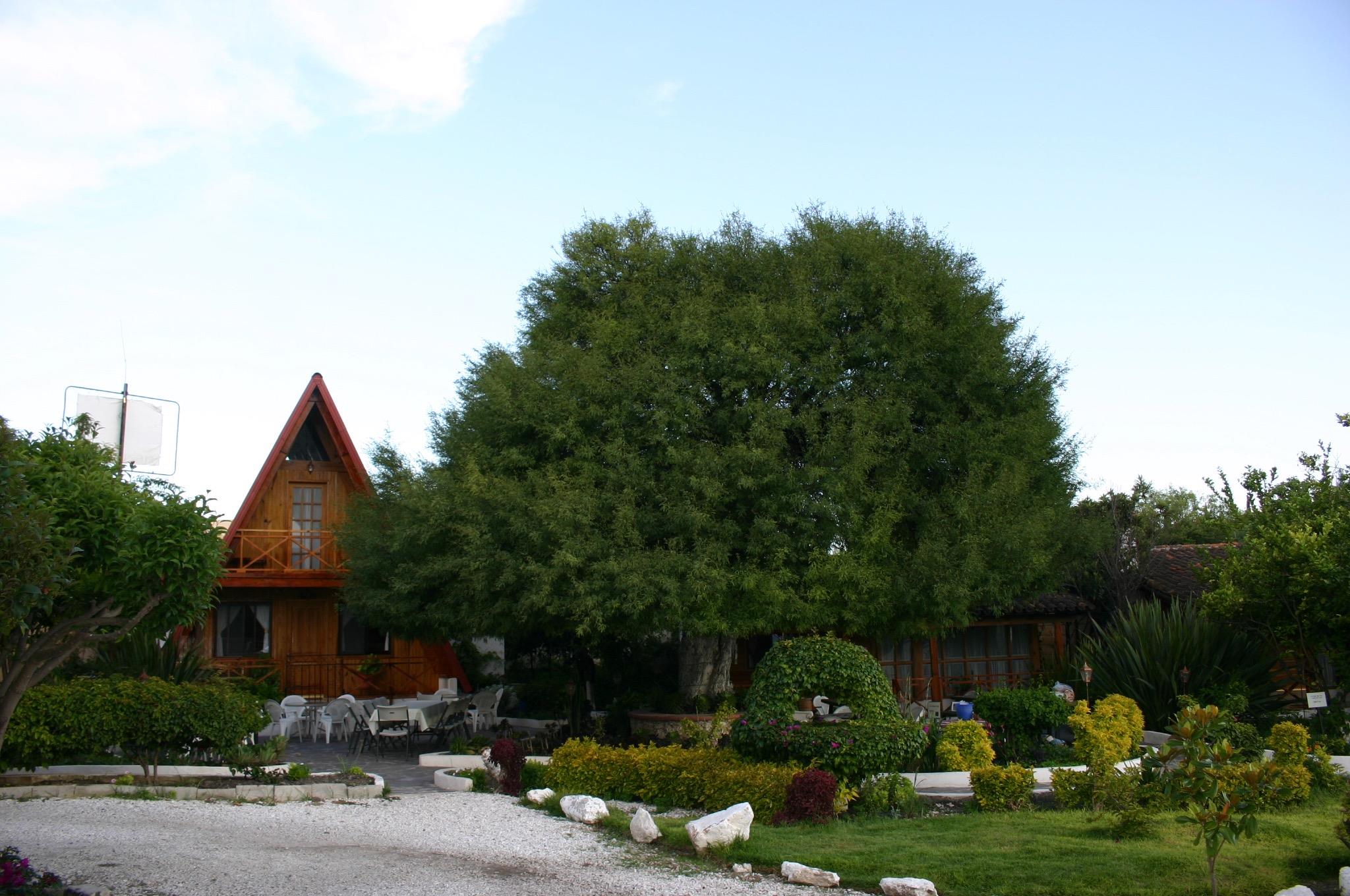 Vista panorámica de una de las cabañas de Bernal. Foto: FB, CABAÑAS BERNAL