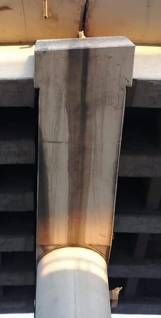 Rescatan a gato en distribuidor Juárez 