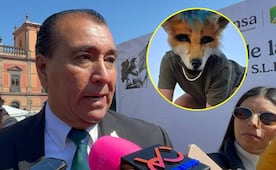 ¿Therians en las escuelas de San Luis Potosí? Esto revela la SEGE  