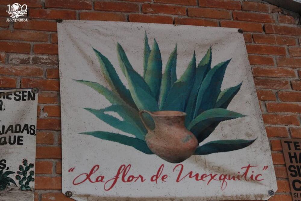 Foto: Martha Alicia Blanco/ El Universal San Luis Potosí.