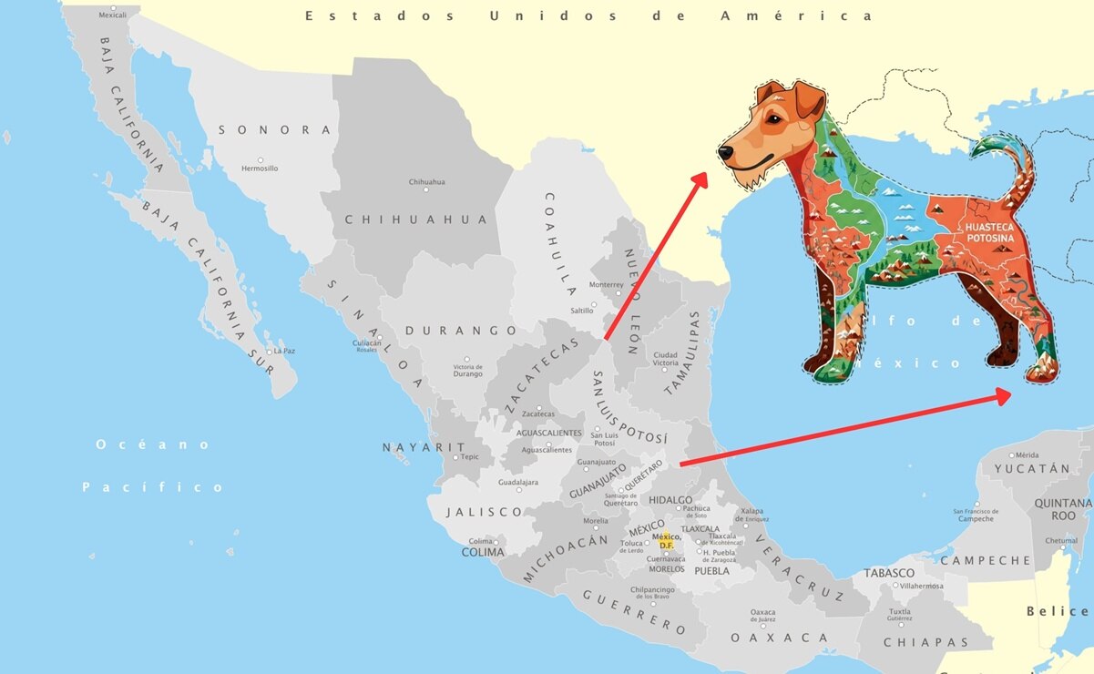  Conoce esta curiosidad visual y cómo ayuda a recordar la geografía mexicana con humor y eficacia. Foto: Especial.