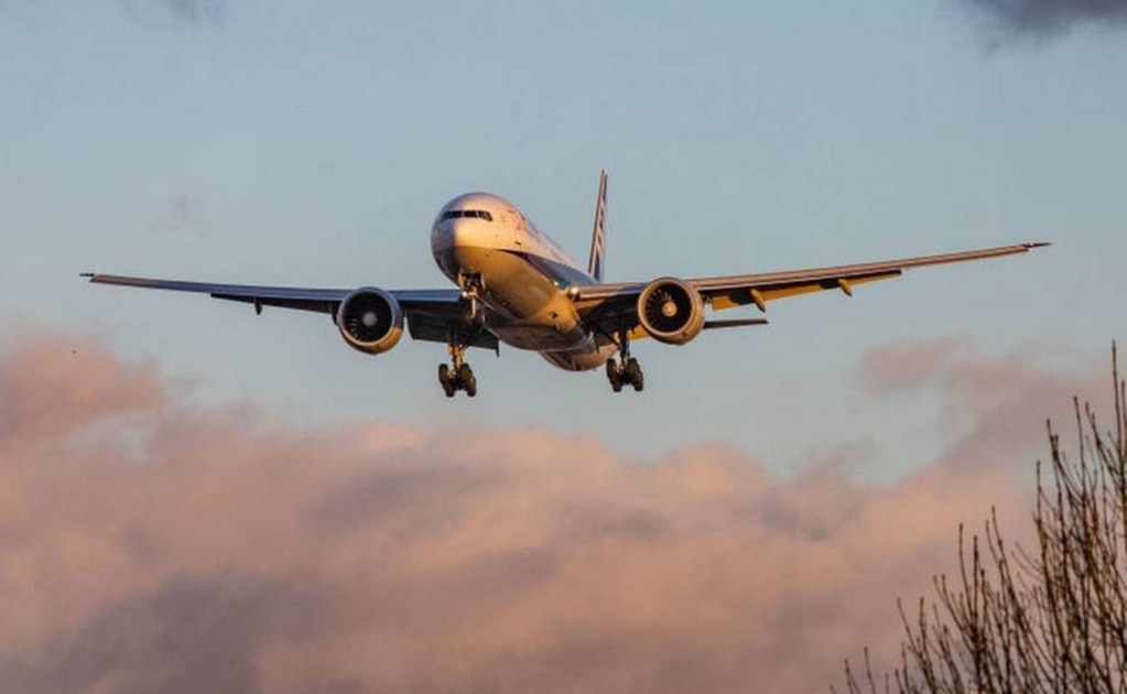 Nuevas rutas aéreas impulsarán turismo y negocios en SLP: SEDECO