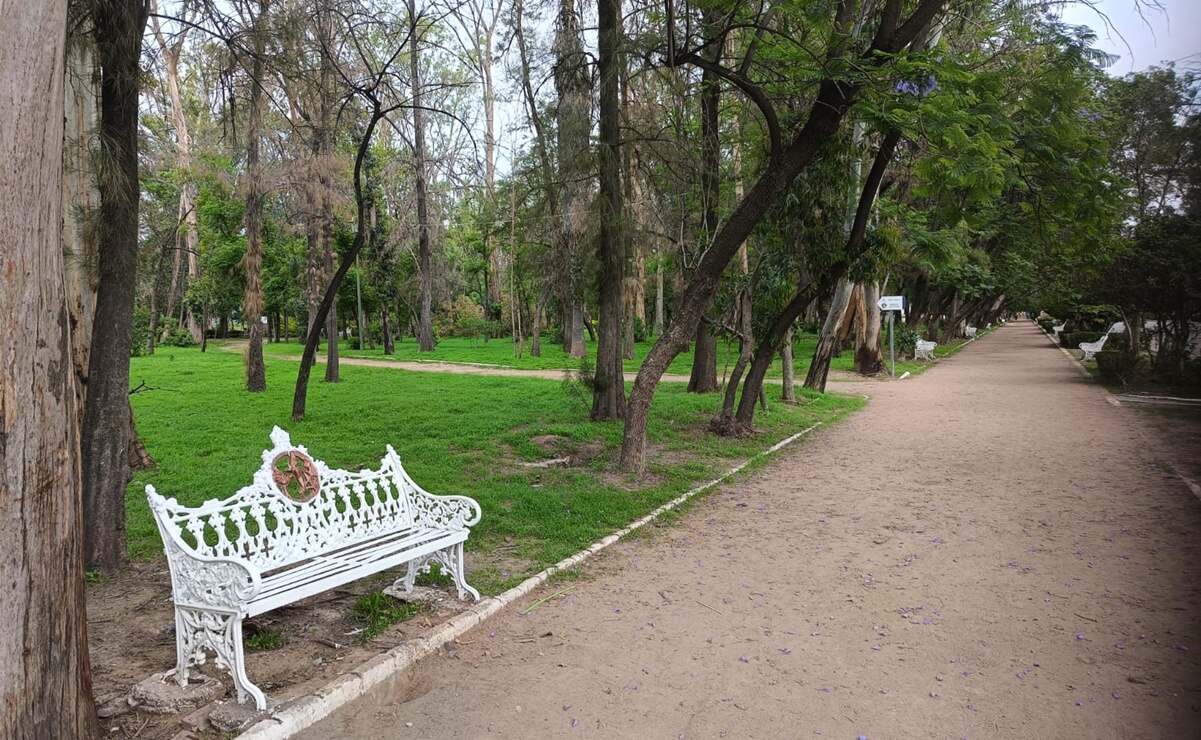 Estos son los mejores lugares para ir a correr en la capital de San Luis Potosí