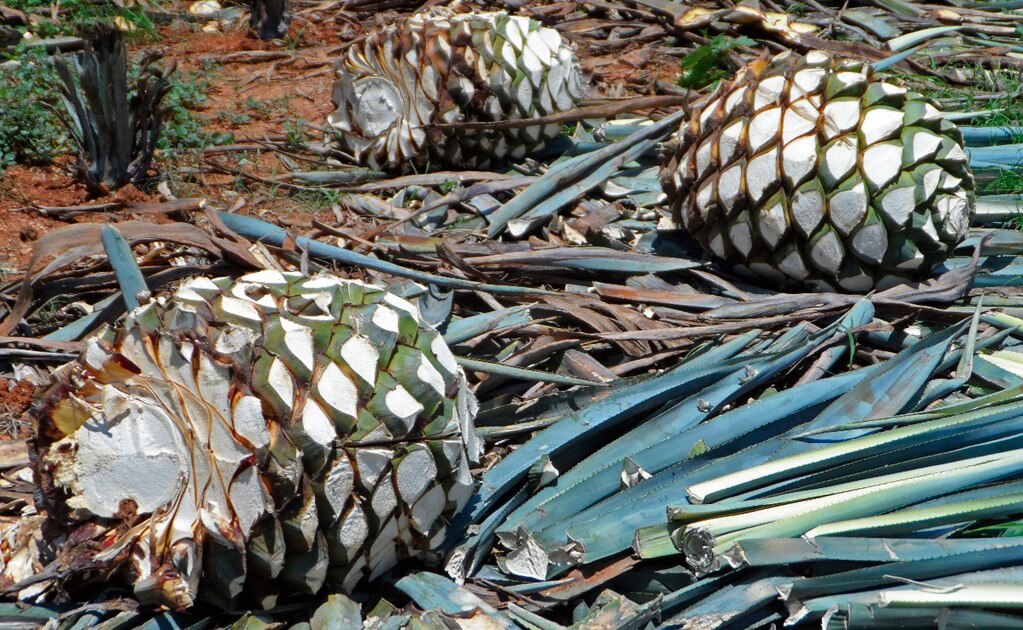 Impulsan proyectos estratégicos de desarrollo territorial 