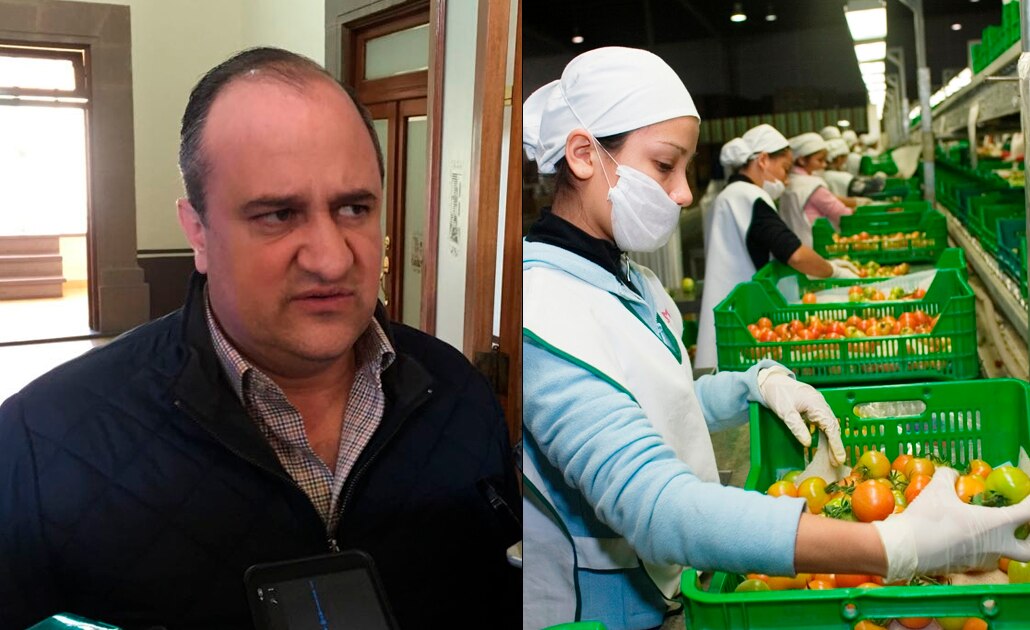 Urge renovar tecnología de invernaderos de Santa Rita: Sedarh