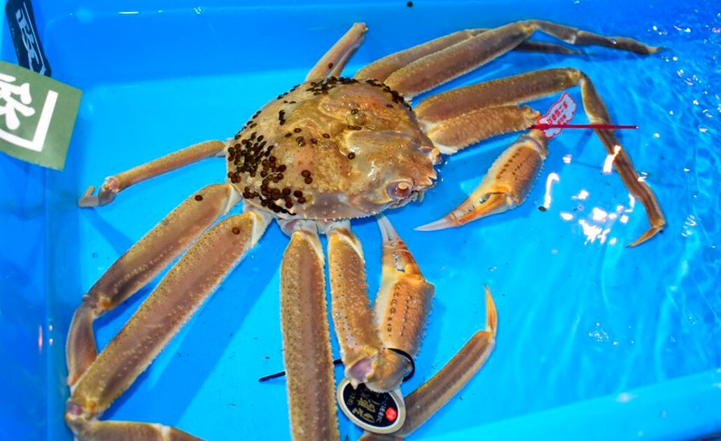 Foto: EFE | El Universal