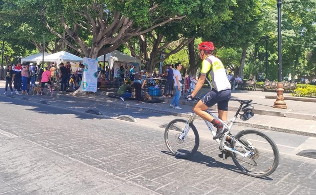 ¿Sin planes para el fin de semana? Disfruta de la convivencia sana en el Paseo Dominical de SLP