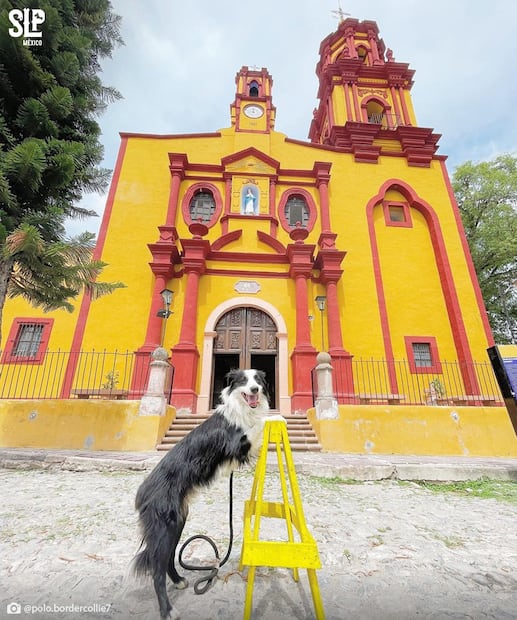 Templo de la Purísima Concepción. Foto: San Luis Potosí Turismo
