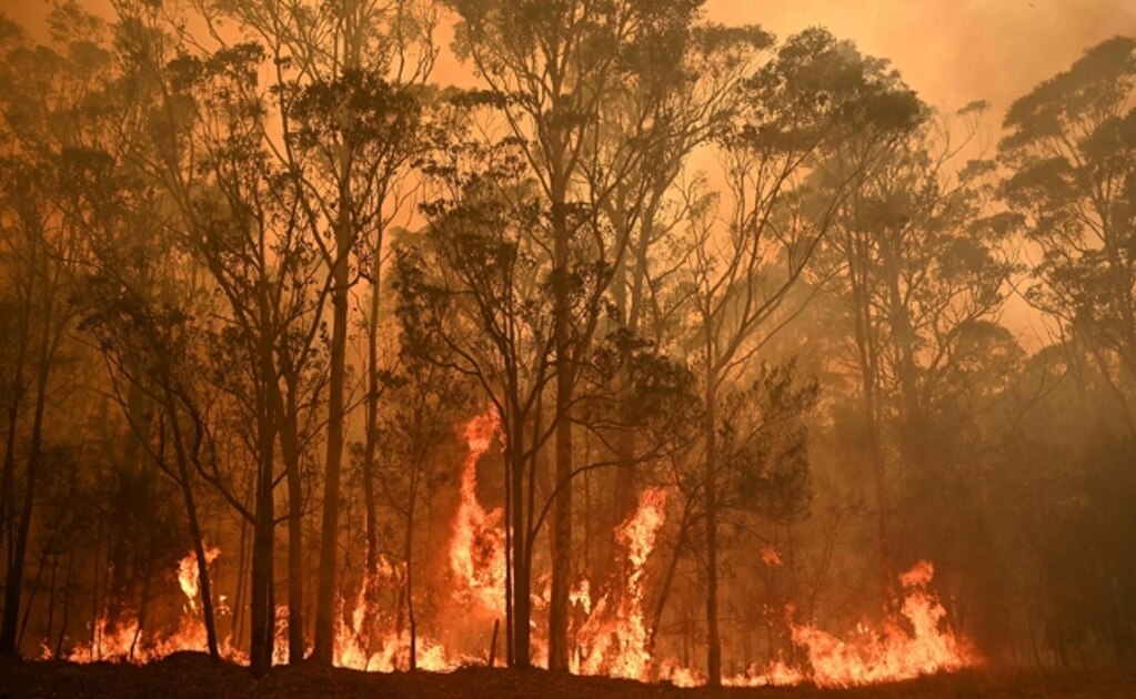 Más de 200 incendios activos han dejado al menos 23 muertos en Australia