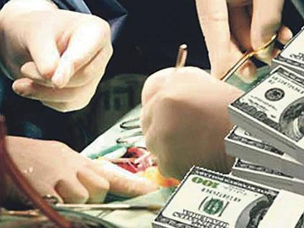 Tráfico de órganos en San Luis Potosí es un mito 