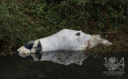 Otro feminicidio en zona metropolitana de SLP