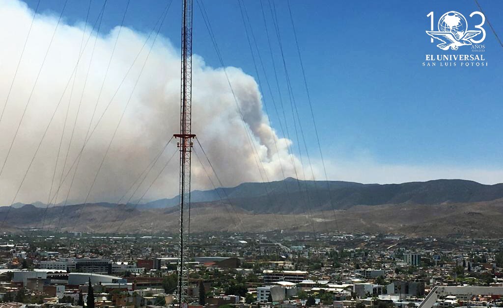 Exigen activistas decretar veda forestal en Sierra de San Miguelito