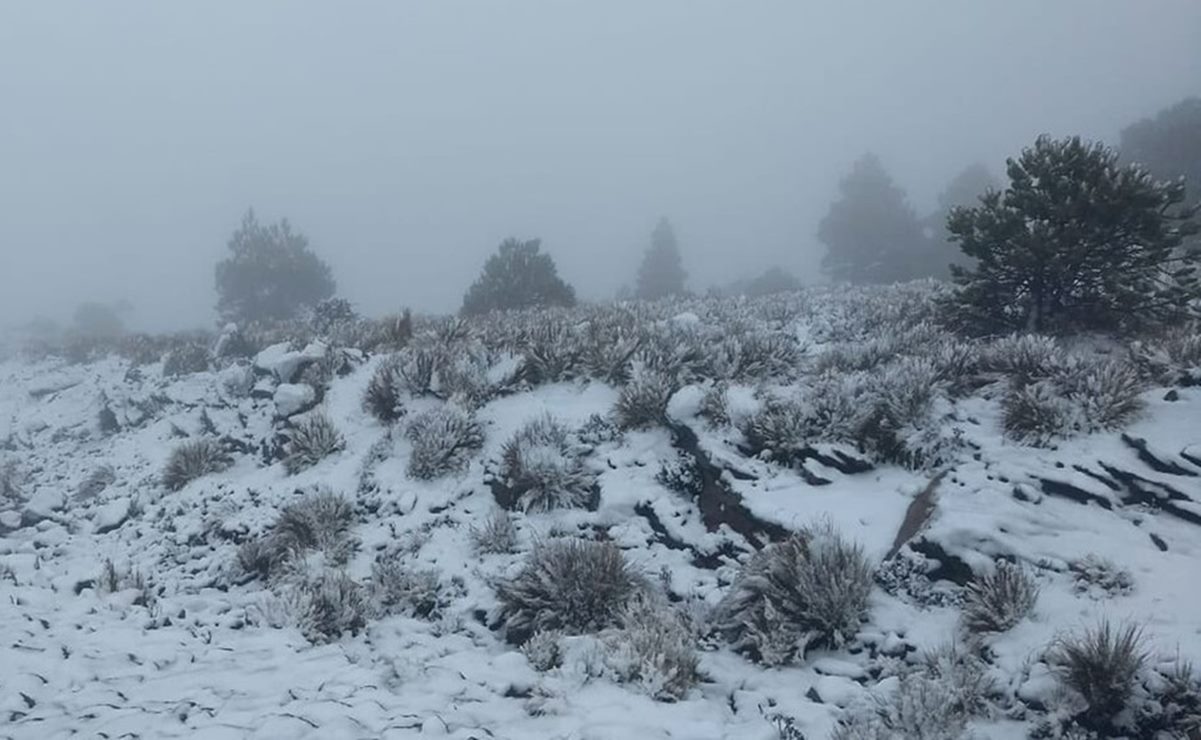 Reportan formación de hielo en la Sierra de Álvarez, San Luis Potosí