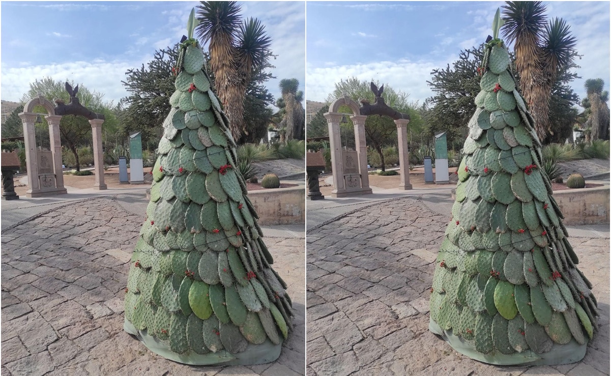¡Con nopales! UASLP se pone navideña con un arbolito temático muy a la mexicana