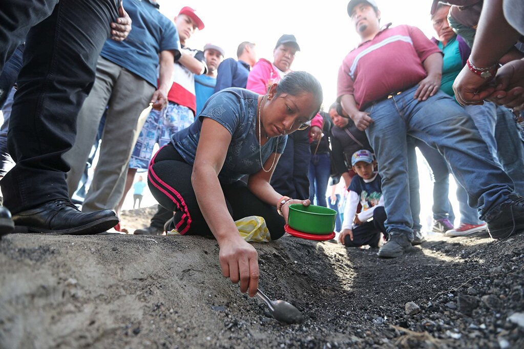 La búsqueda continúa, cucharas fueron palas en la tierra