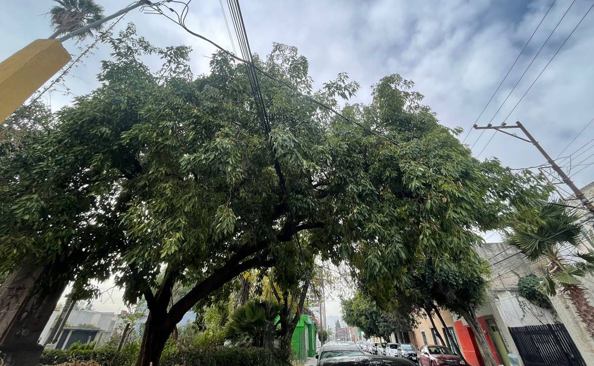 Foto: Humberto Torres EL UNIVERSAL