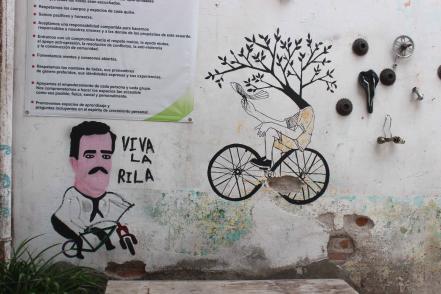 Vida sobre ruedas, 9 años de lucha sobre el asfalto