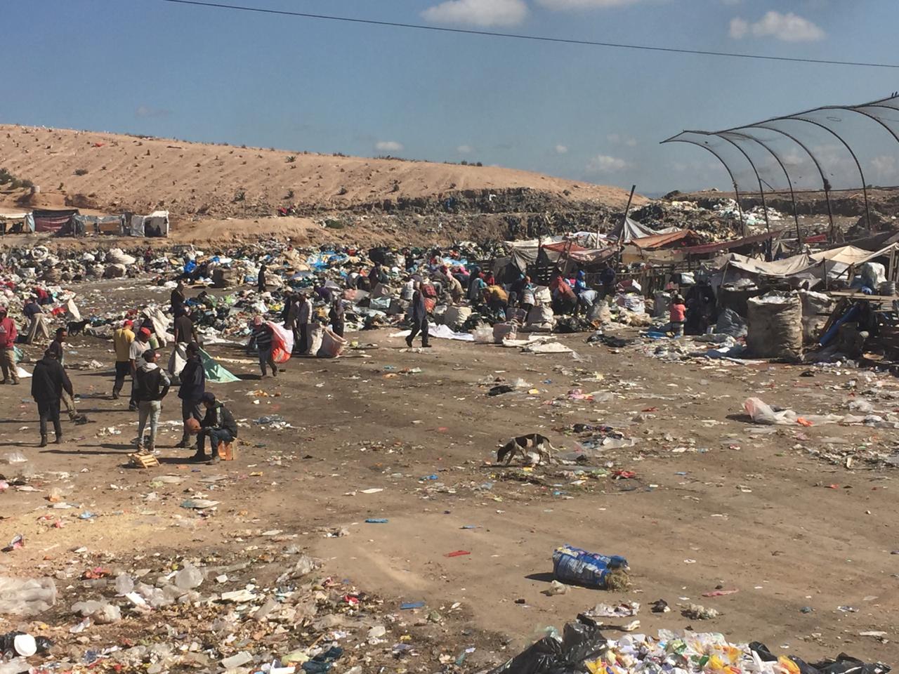 Potosinos generan entre 85 y 100 toneladas de basura diariamente